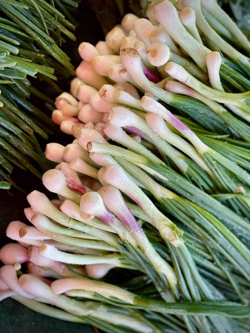 Hortifruti